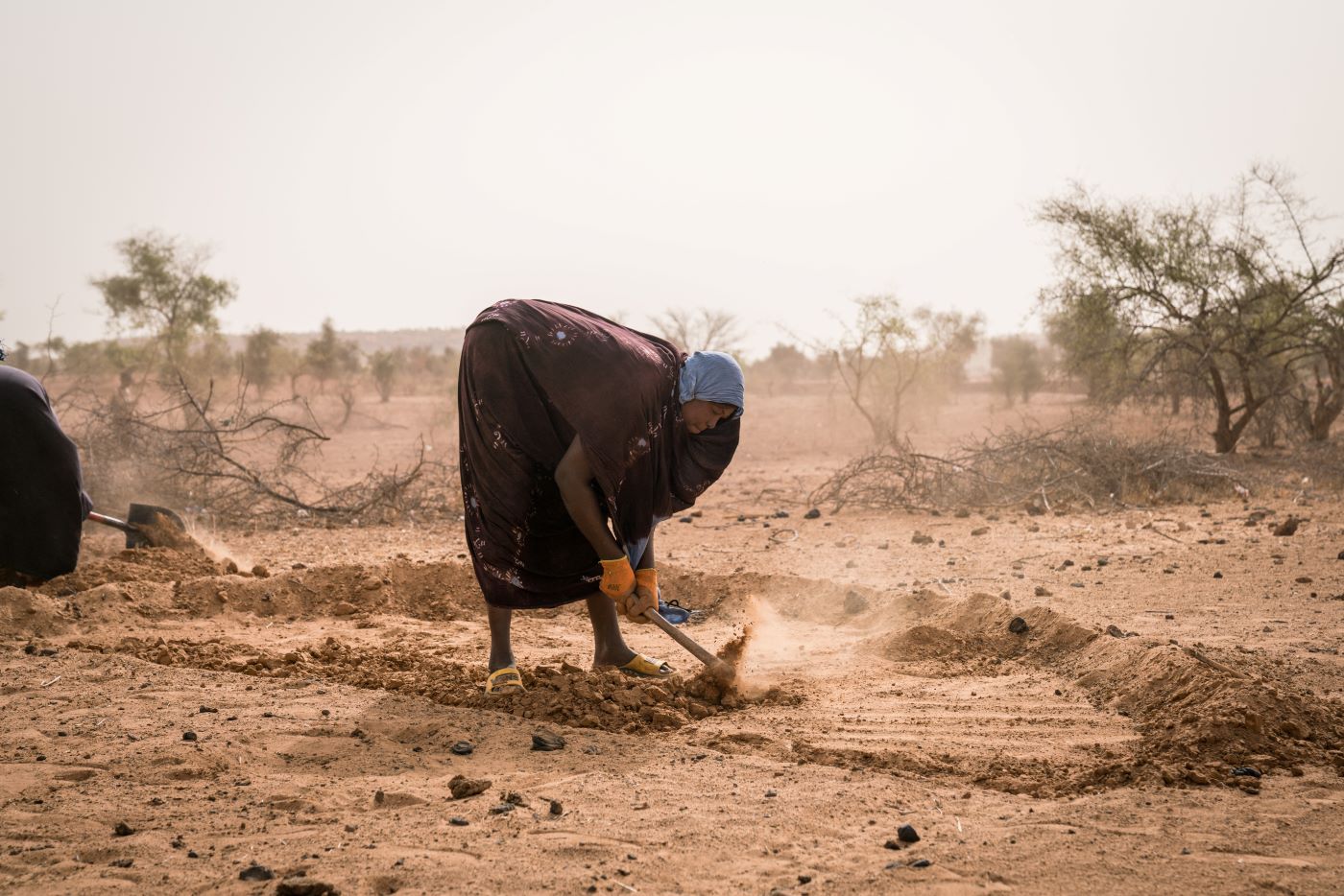 人道支援活動への資金が減少する中、国連世界食糧計画（WFP）は